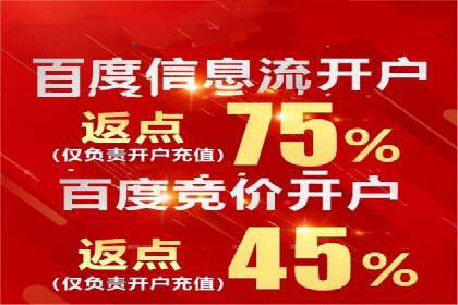 精准投放：SEM推广的技巧与案例